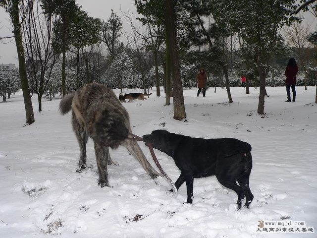 P1220374.jpg