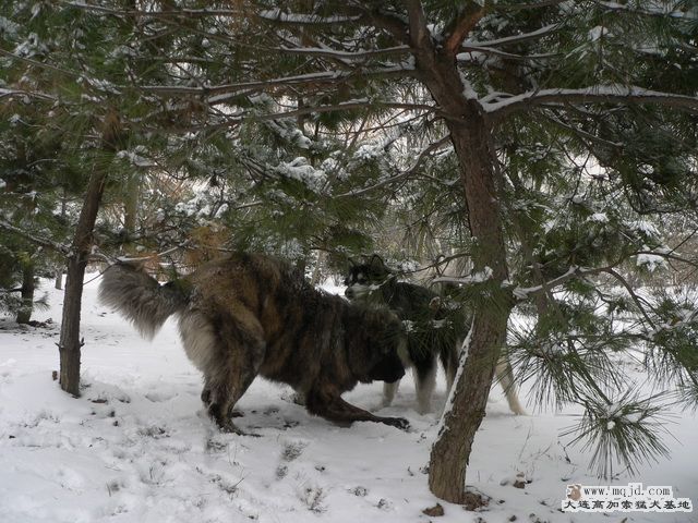 P1220360.jpg