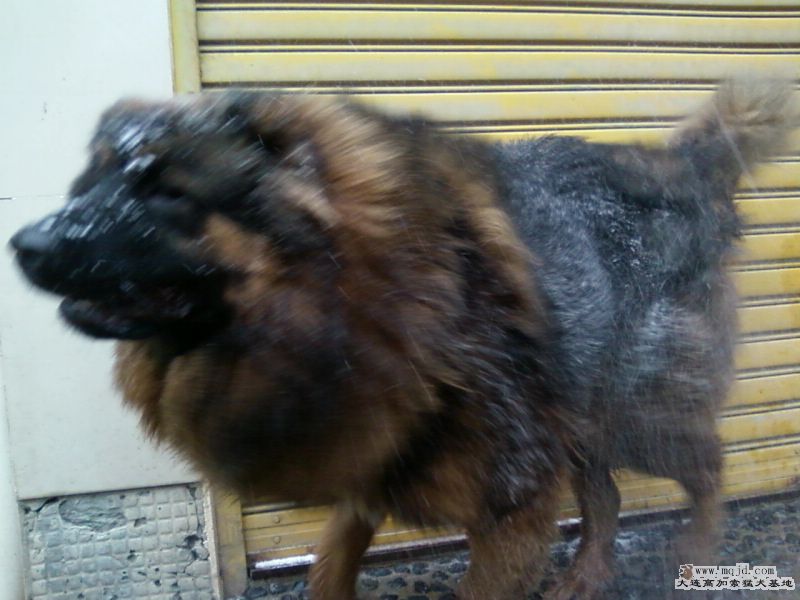 Ƭ-0089.jpg
