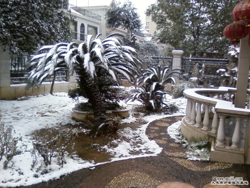 Ƭ-0081.jpg