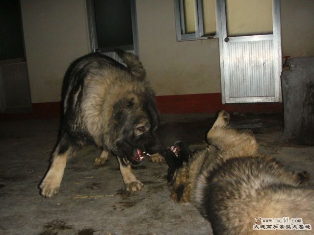 DSC05291.JPG