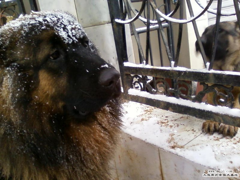 Ƭ-0087.jpg