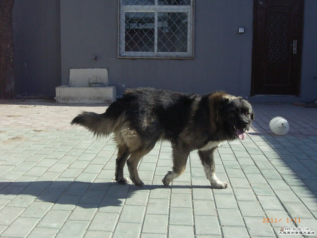 R0023088.JPG
