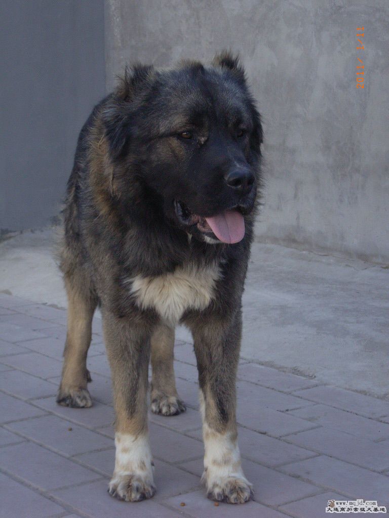 R0023116.JPG