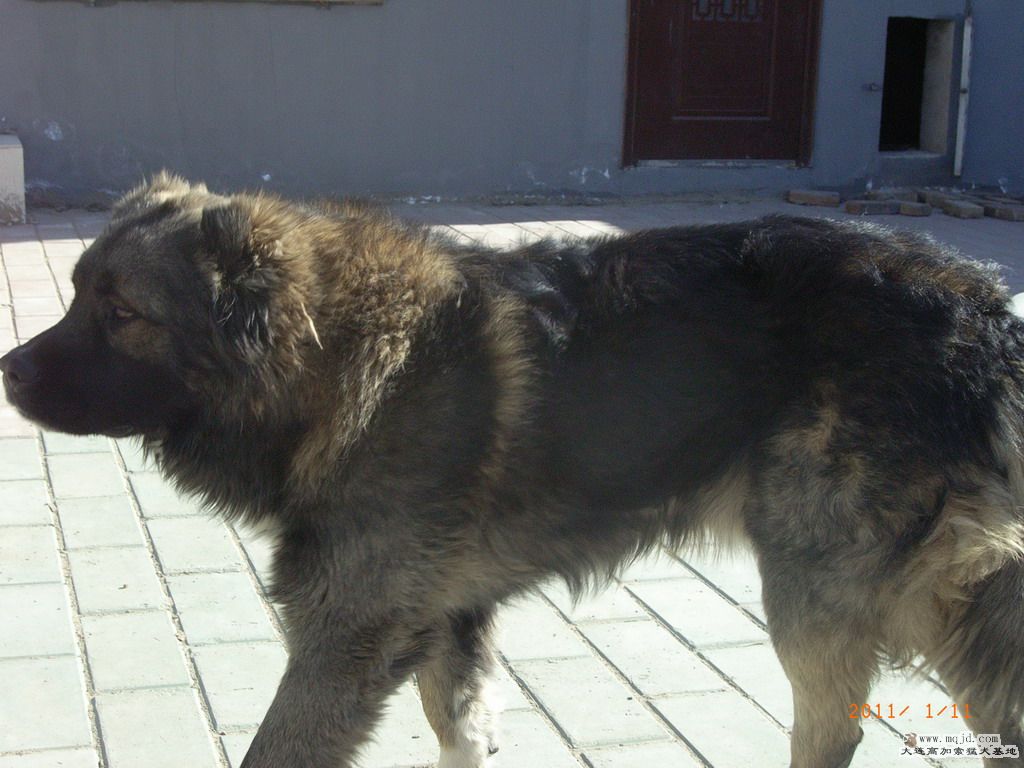 R0023092.JPG