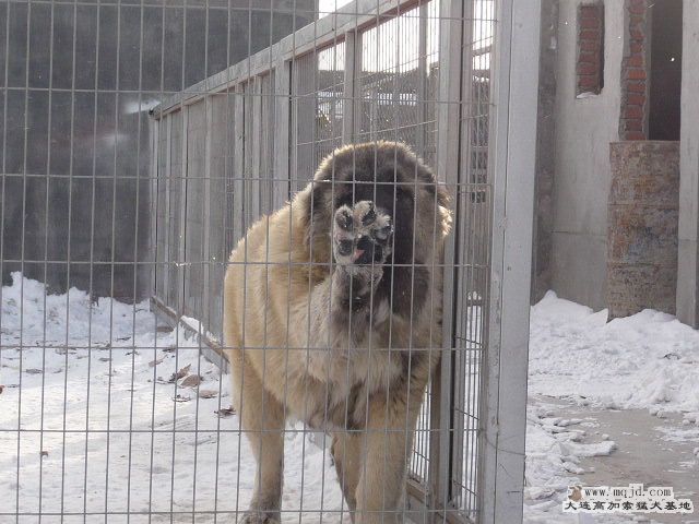 P1050805.JPG
