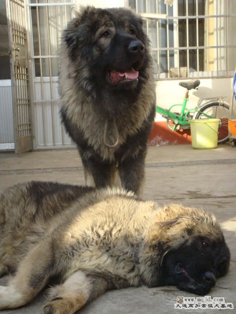 DSC05429.jpg