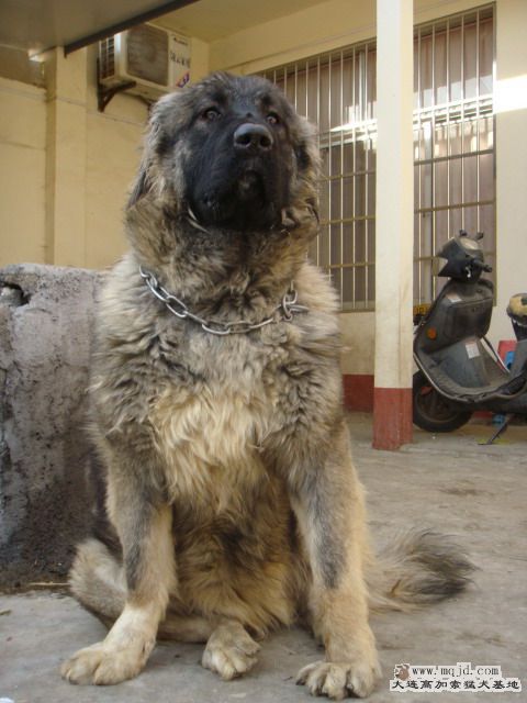 DSC05424.jpg