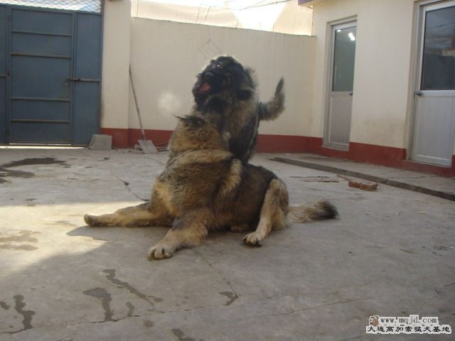 DSC05412.jpg