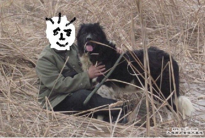 δ.jpg