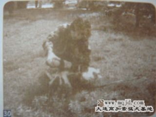 30.jpg