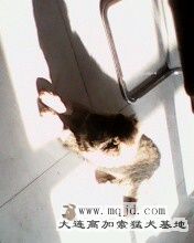 IMG0046A.jpg