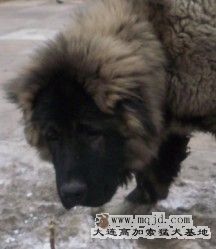 20110214.jpg