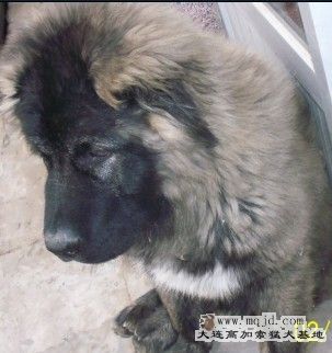 δ20110211.jpg