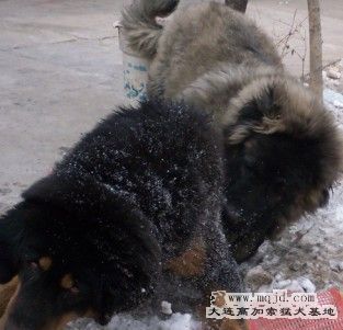 20110217.jpg