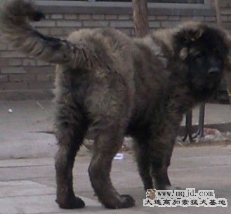 20110213.jpg