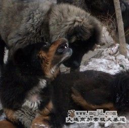 20110216.jpg