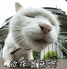 163.gif