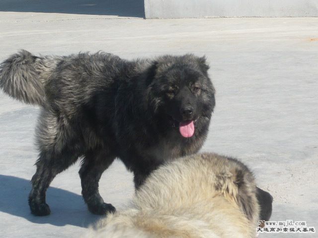 P1050974.JPG