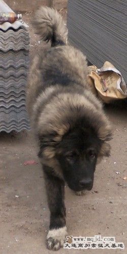 20110221.jpg