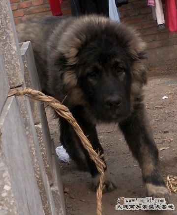 20110222.jpg