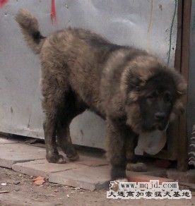 20110220.jpg