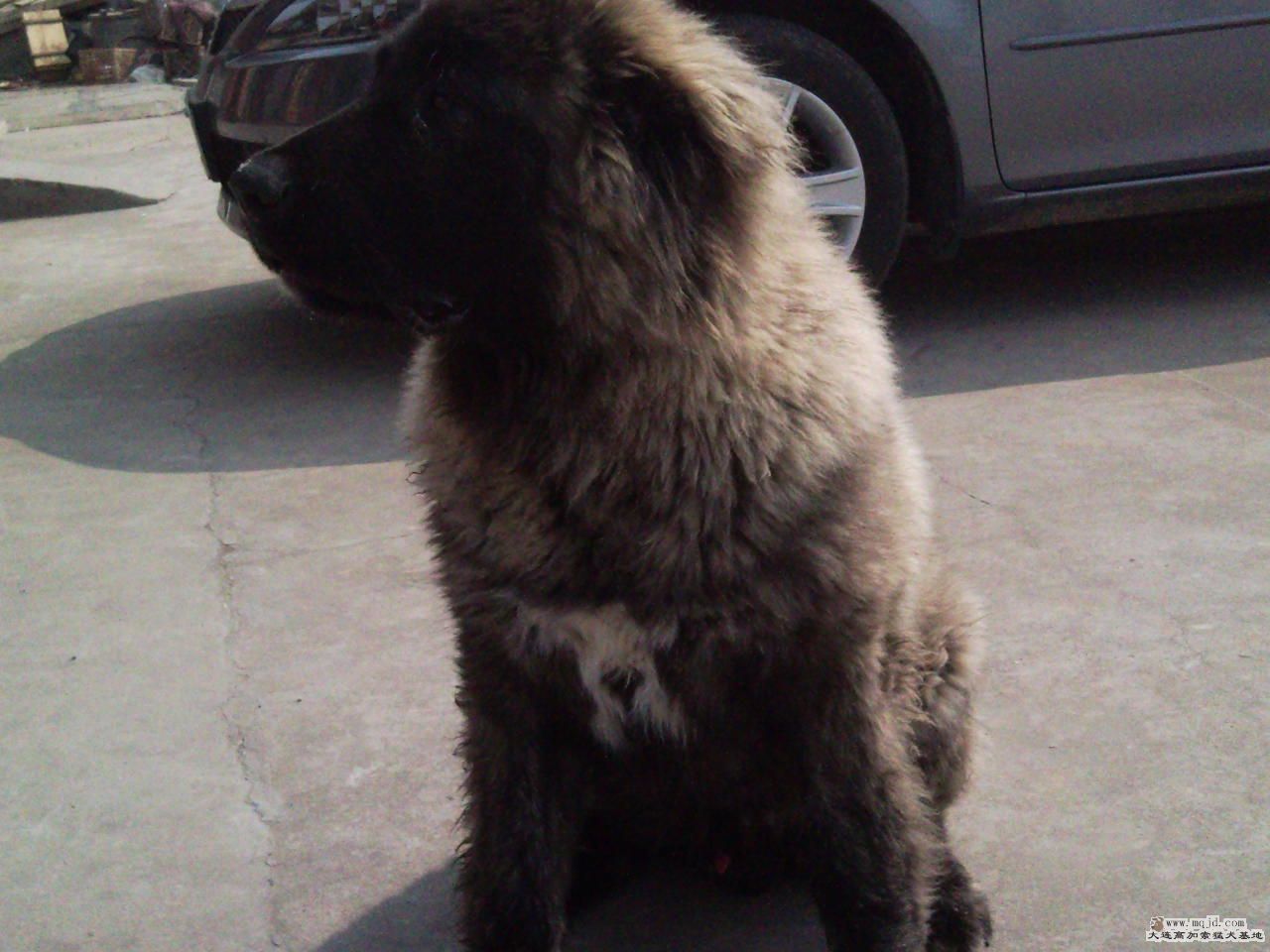 Ƭ0670.jpg