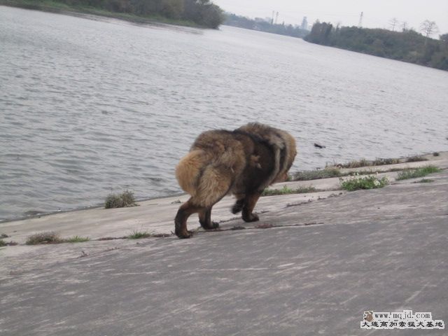 Ƭ 019.jpg