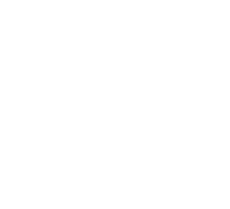 51.gif