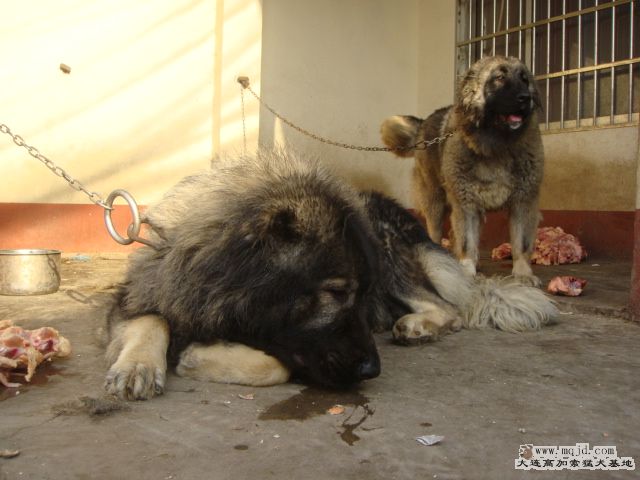DSC06068.JPG