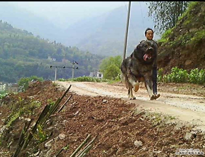 1.jpg