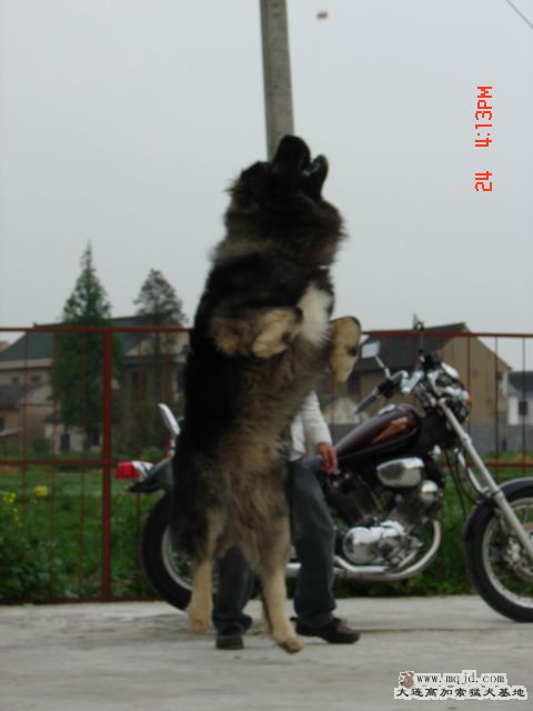 DSC01238.JPG