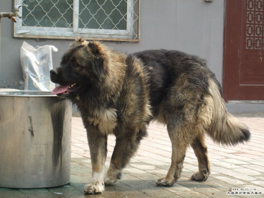 DSCF2587.JPG