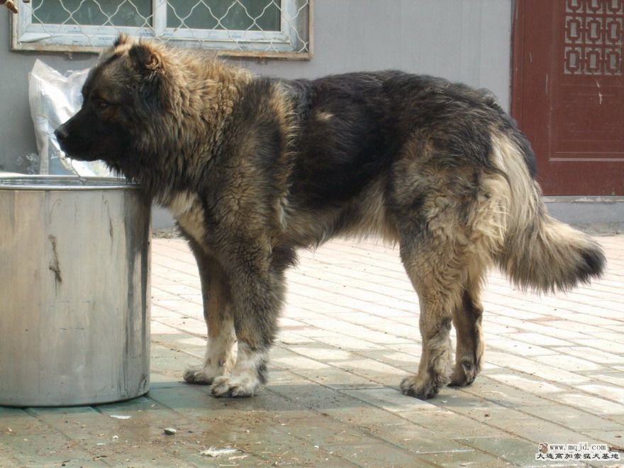 DSCF2586.JPG