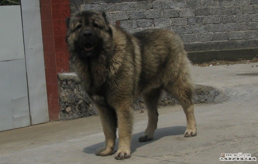 10.jpg