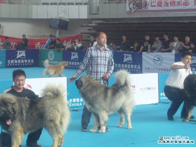 P1060286.JPG
