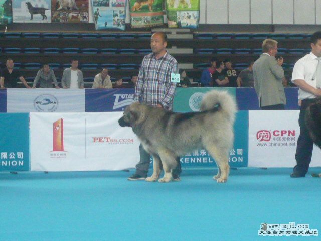 P1060249.JPG