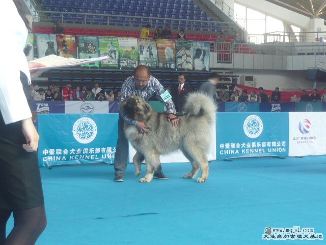 P1060298.JPG