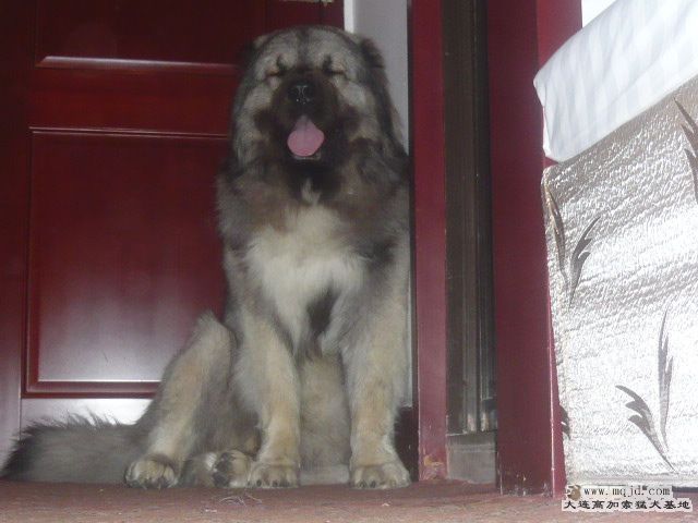 P1060300.JPG