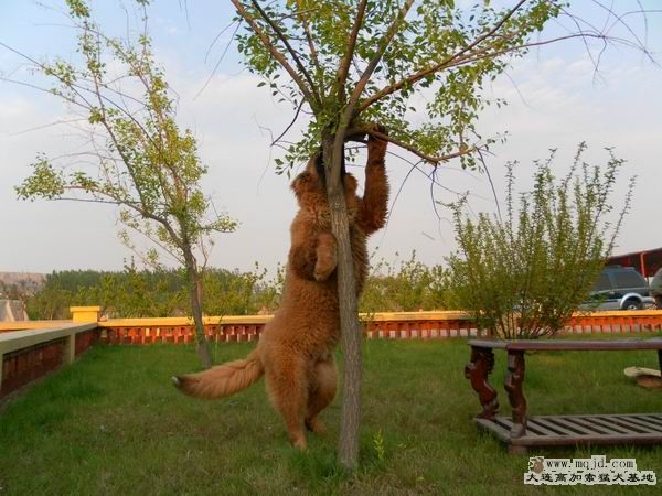 2011052602.jpg