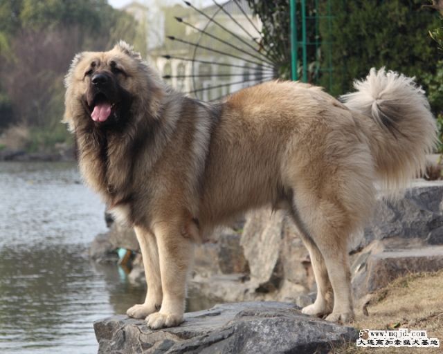 20100303_8b22f95091af2b650155pKscHN36jmQH.jpg