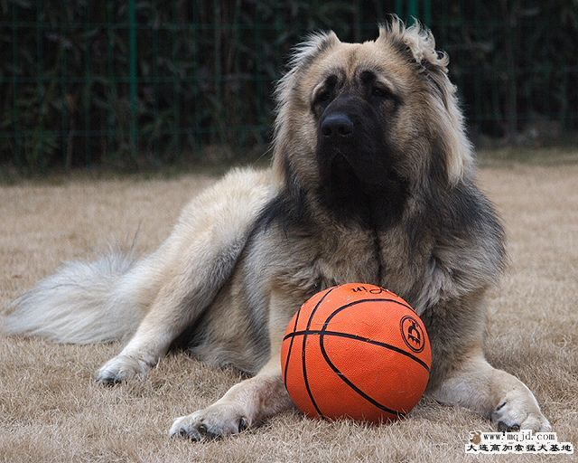 20100117_ad5bc3e6cf9e3cbd0d97wH6PczNadeOK.jpg
