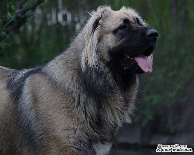 20091203_9e429d982ea3c0da8aafs9hMEPZU2kkB.jpg