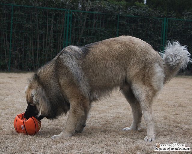 20100117_2d7c0bc8f6fafc5b2b01t62xr40aAwCE.jpg