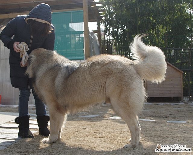 20100321_27a7a861f9779cbab484xOGavVcPsZ6m.jpg
