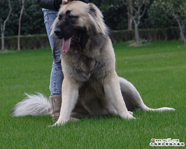 20091202_b24eba8e407197df50012fAWmZzJXFCM.jpg