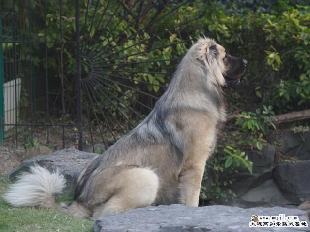 20091108_f1c9ef70ab79dc1525081TXdIfNr63Fb.jpg