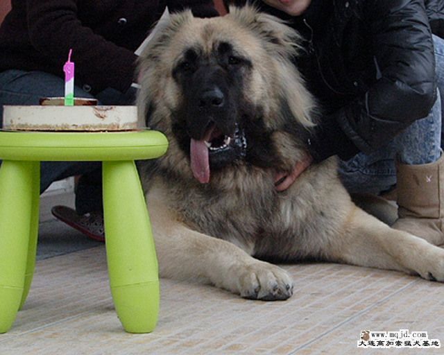 20091128_4ac2ec7f4ebc8afd6b23xc1LvSol1DqJ.jpg