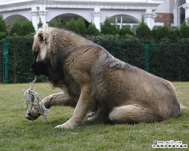 20100117_ada8cd23a45e34087637eYMlZMkAgWNH.jpg