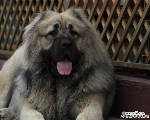 20100411_8b3ff3fd91a8de7cf1a6Tmslbr5UoJEU.jpg